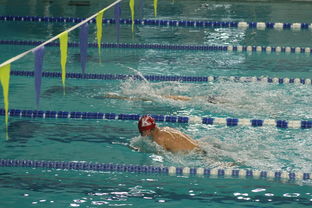 平博体育app-全国游泳冠军赛新星频出成绩突破预期，全国游泳冠军赛2021成绩  第3张